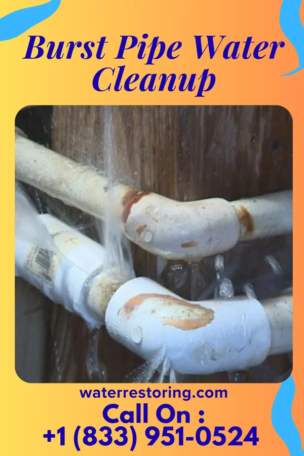Burst Pipe Water Cleanup in Tanglewilde, WA