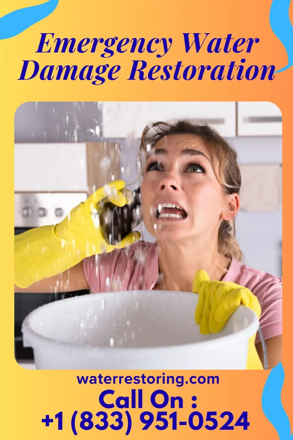 Emergency Water Damage Restoration in Tanglewilde, WA