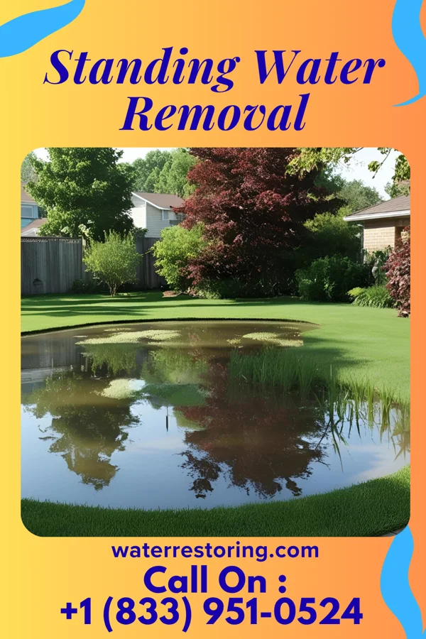 Standing Water Removal in Tanglewilde, WA